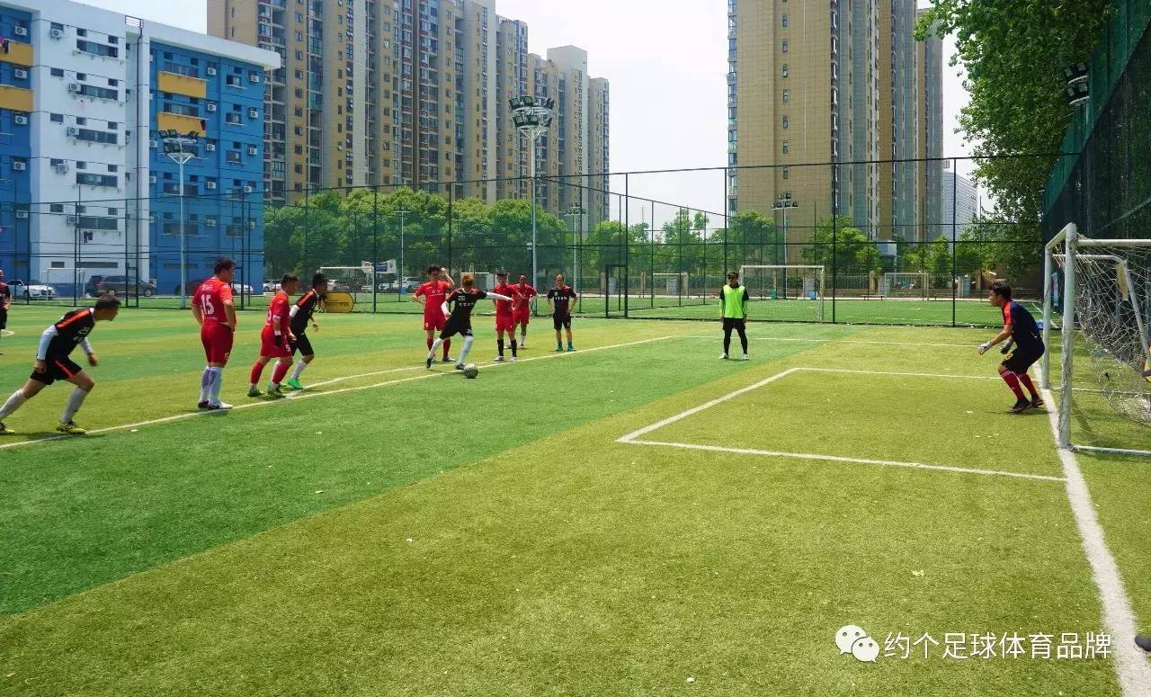 浙江绿城硬仗连连，努力拼搏争取转运，士气大振的简单介绍