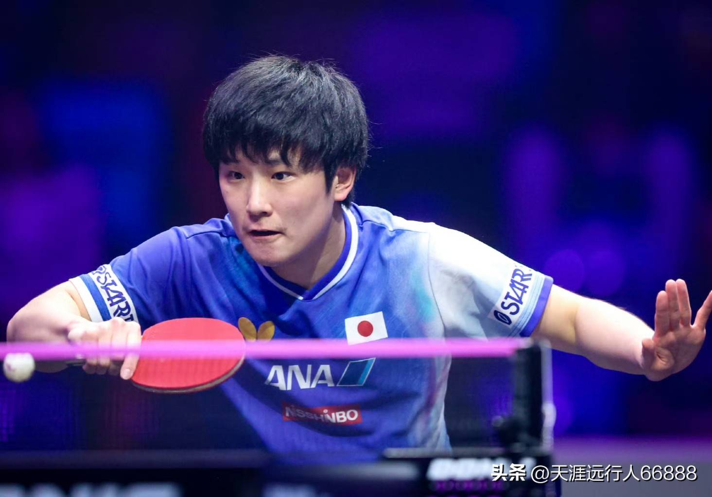 英格兰队碾压德国队，张本智和带队取胜