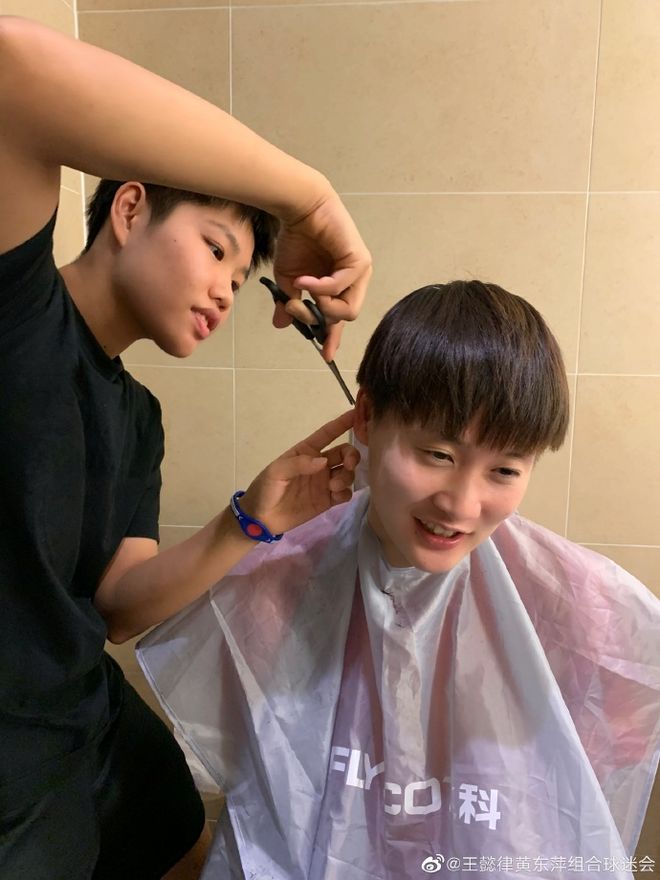 日本队轻取德国队，陈雨菲统治全场的简单介绍