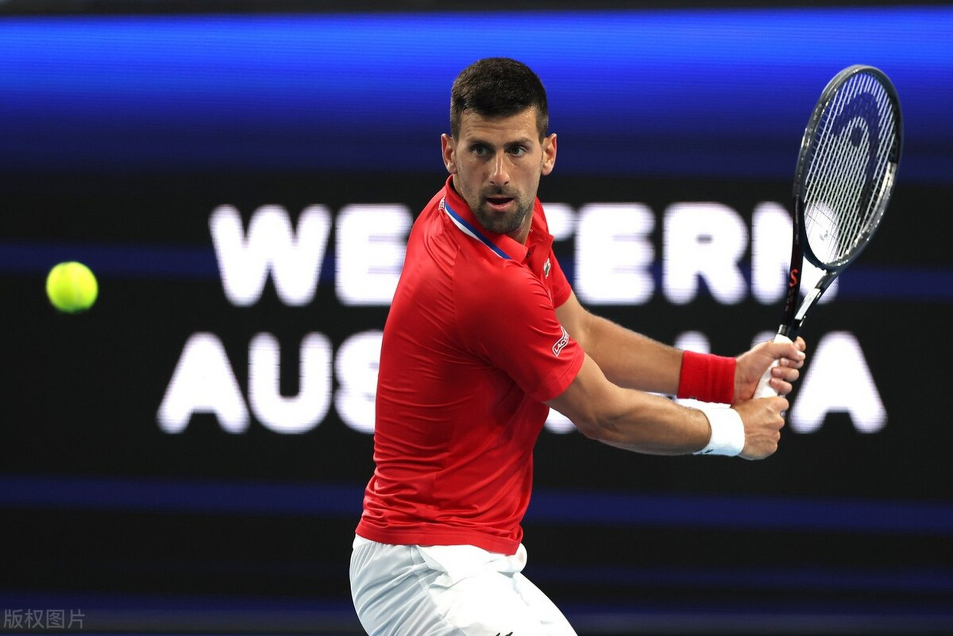 联合杯轻取ATP总决赛，德约科维奇关键制胜的简单介绍