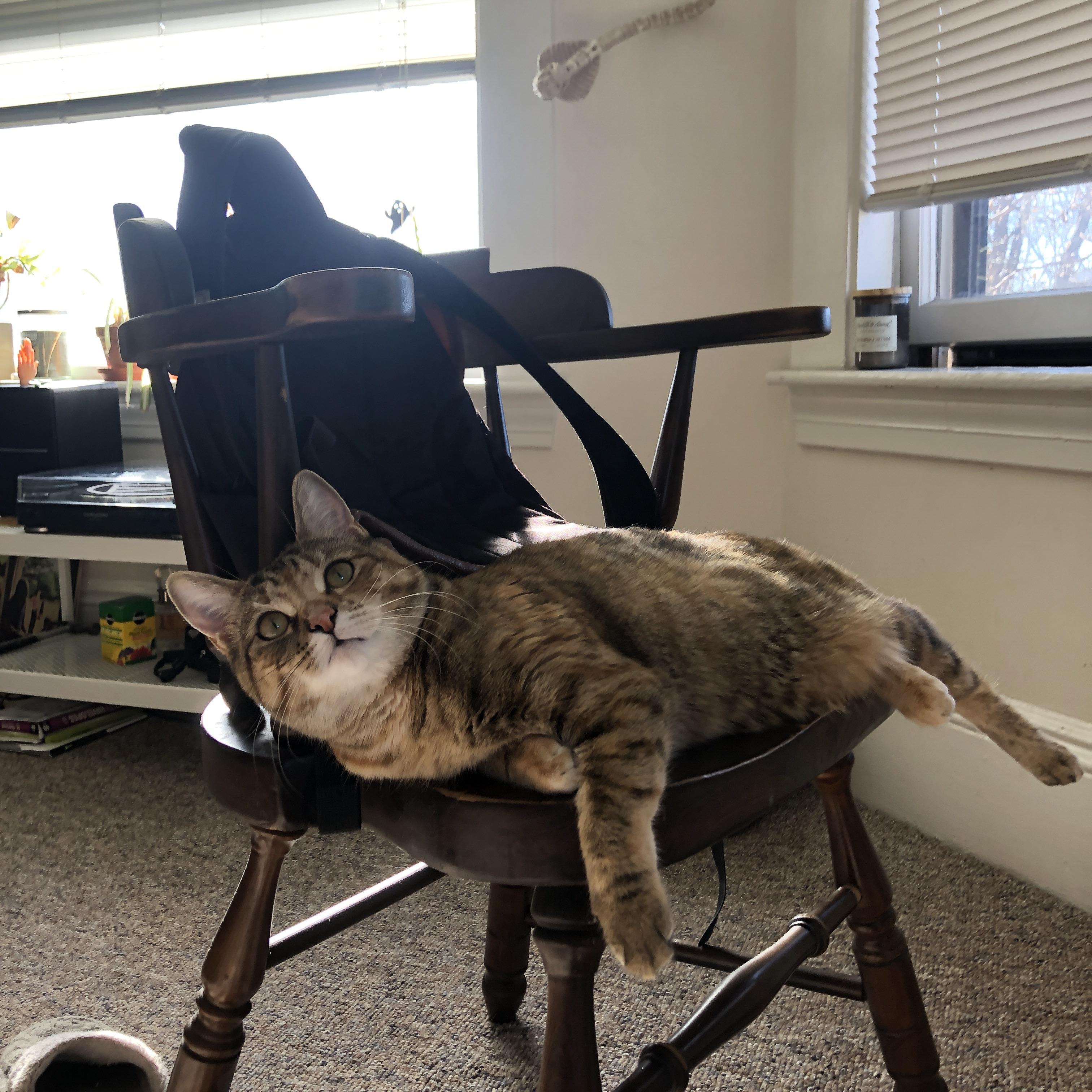 F1街道赛之夜，迪巴拉一脚让激情与失望同时撞线