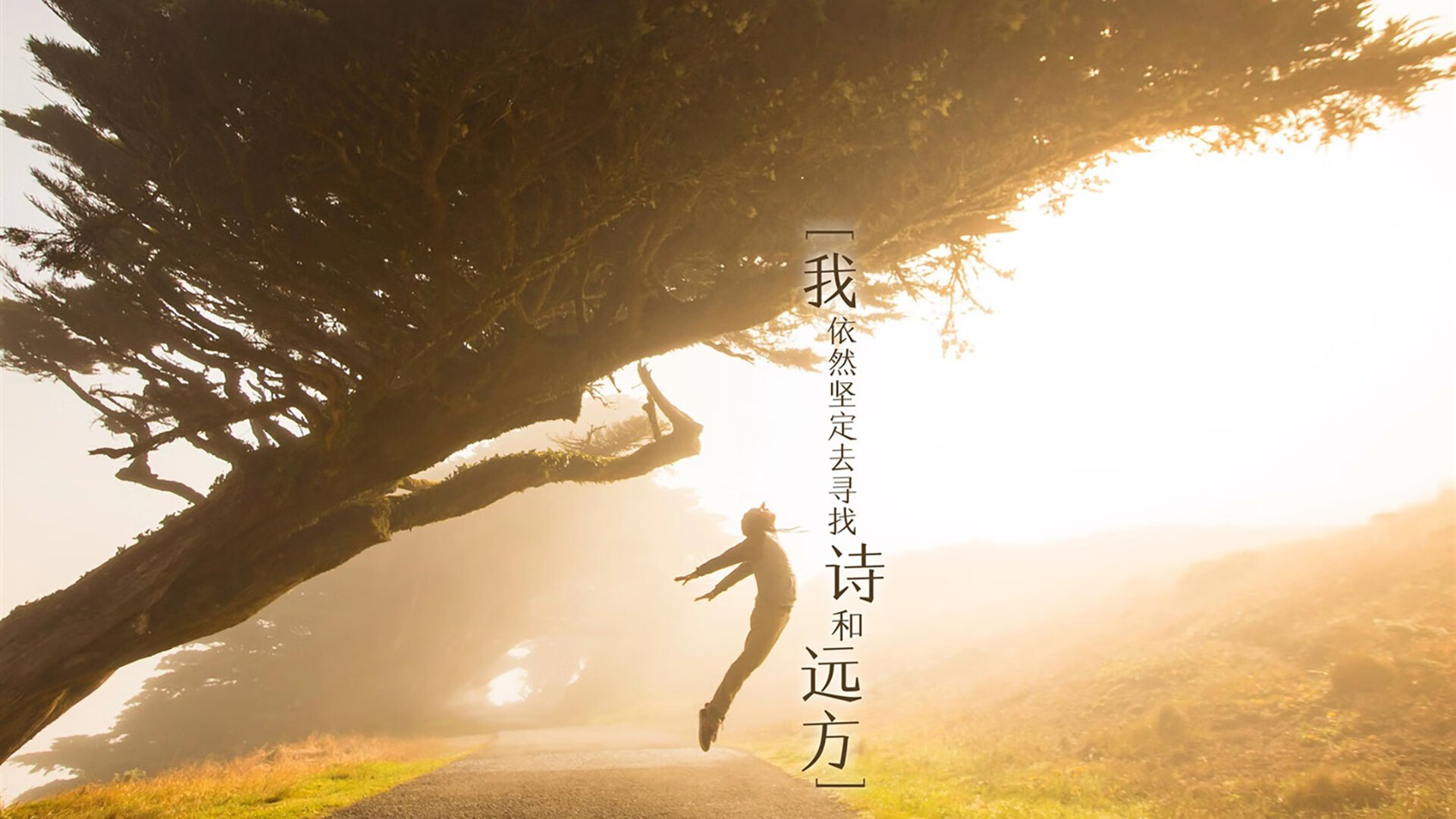 夜战惊雷！伊布三连击炸裂焦点之夜，天神下凡改写赛季走向